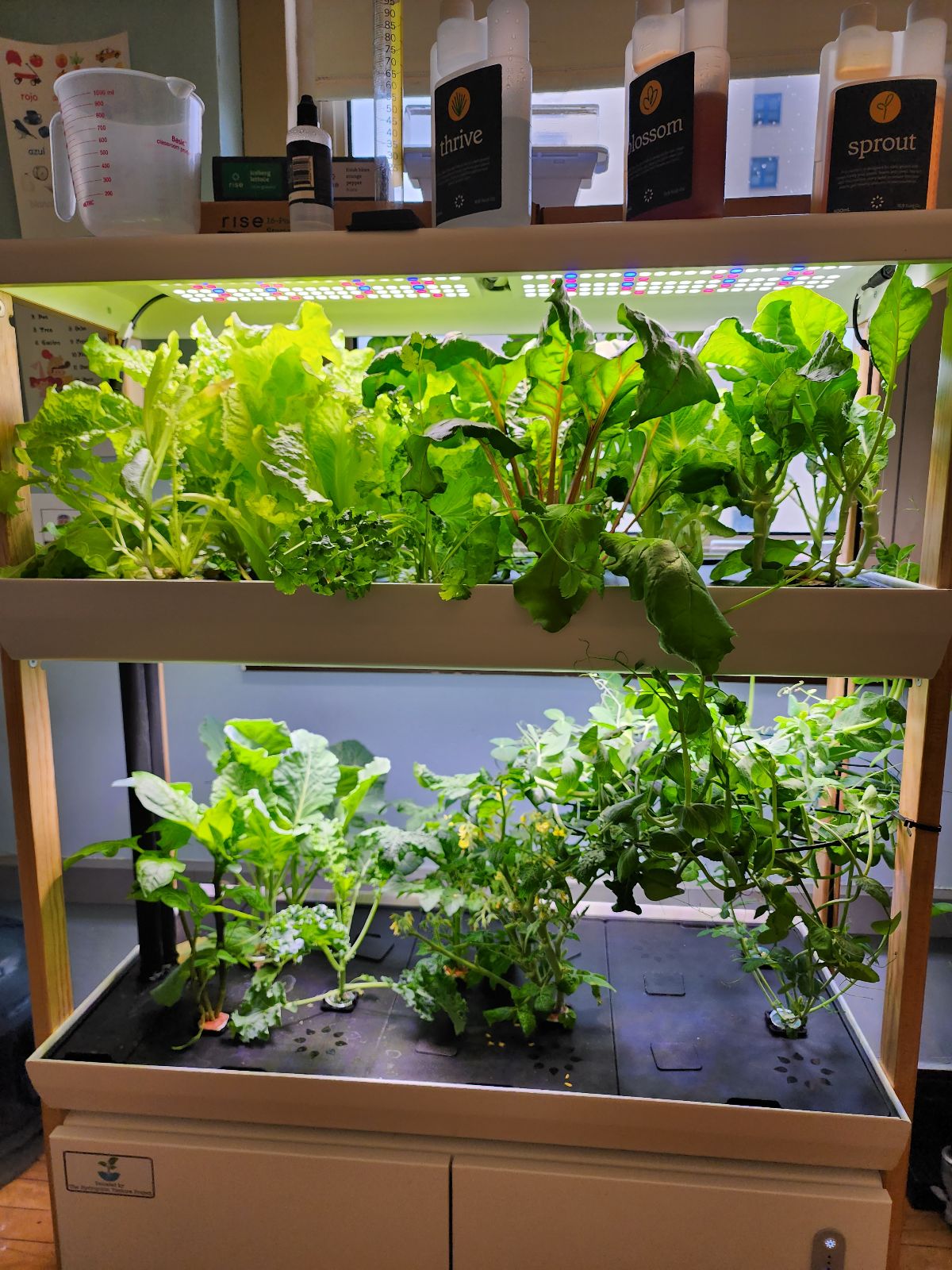 A full HVP tier system in the classroom.