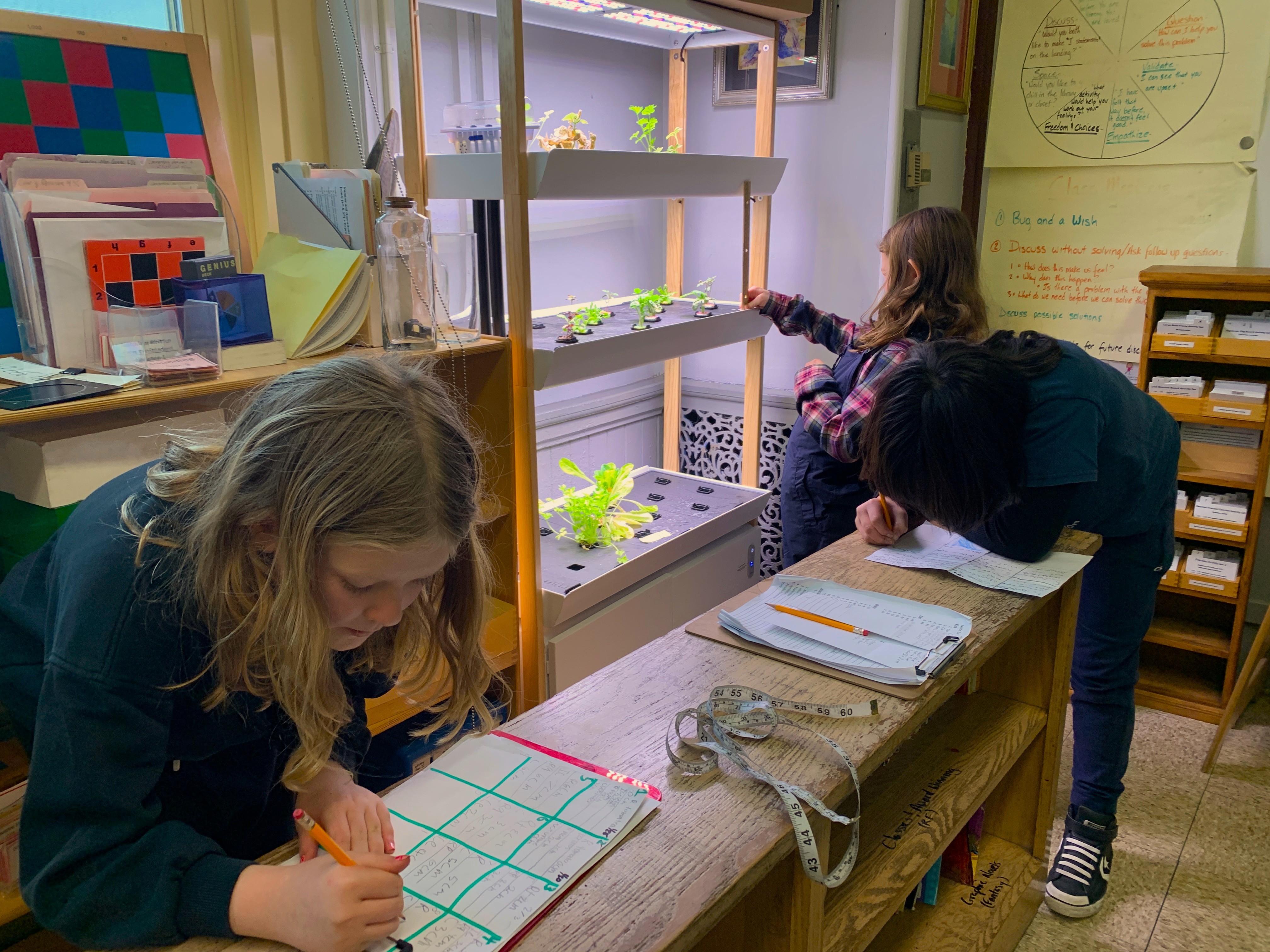 Drummond Elementary students working on curriculum beside the hydroponic system.