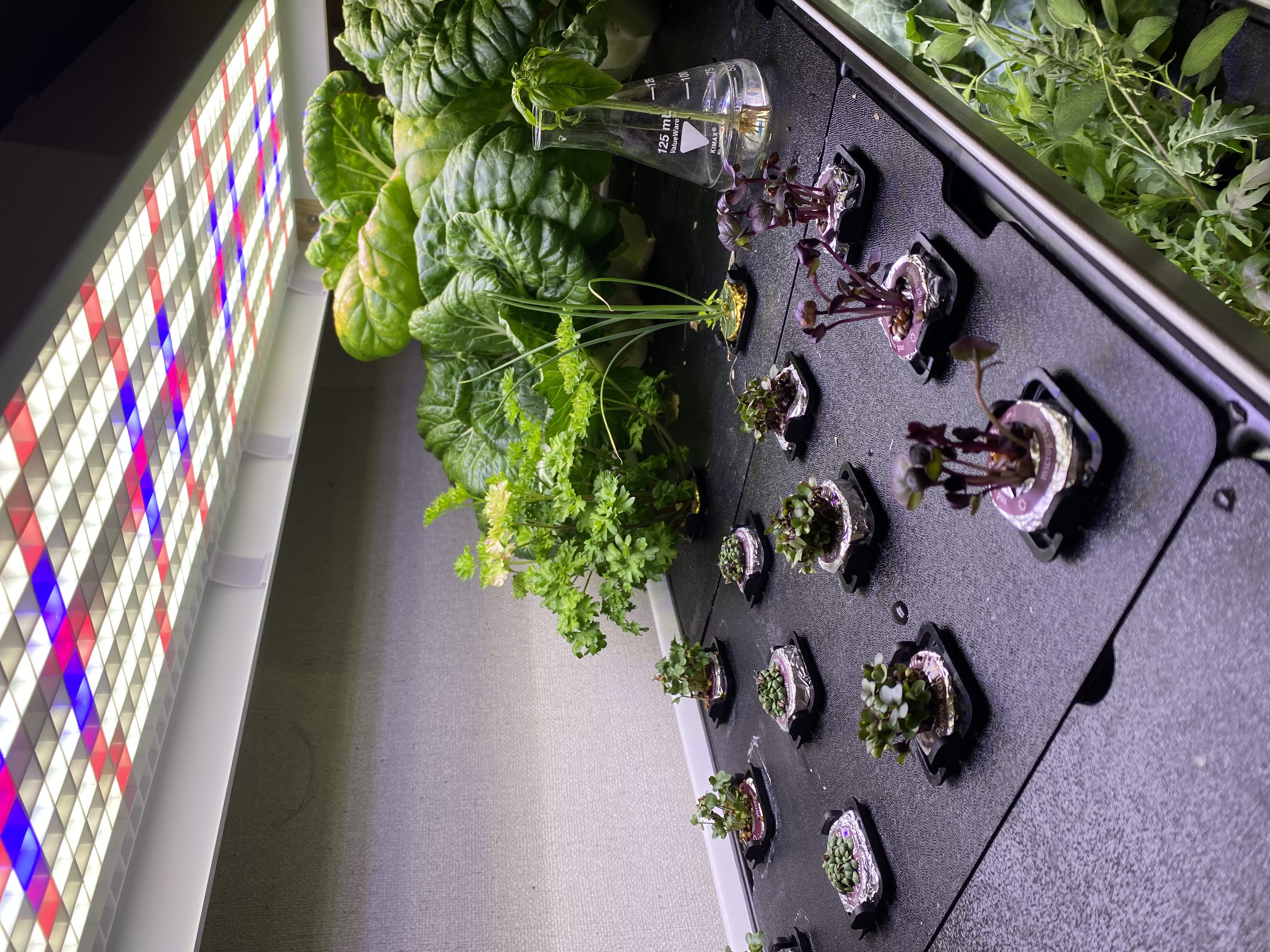 Classroom harvest tray